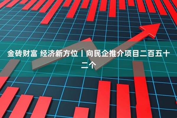 金砖财富 经济新方位丨向民企推介项目二百五十二个