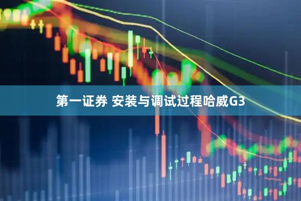 第一证券 安装与调试过程哈威G3